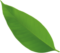 clearnify